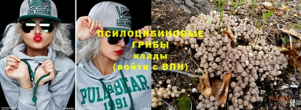 бошки Белокуриха