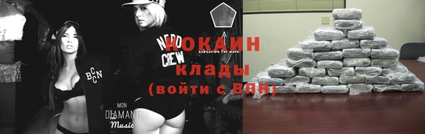 бошки Белокуриха