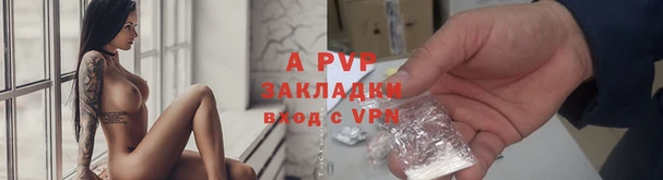 бошки Белокуриха