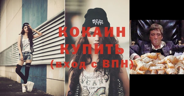 бошки Белокуриха