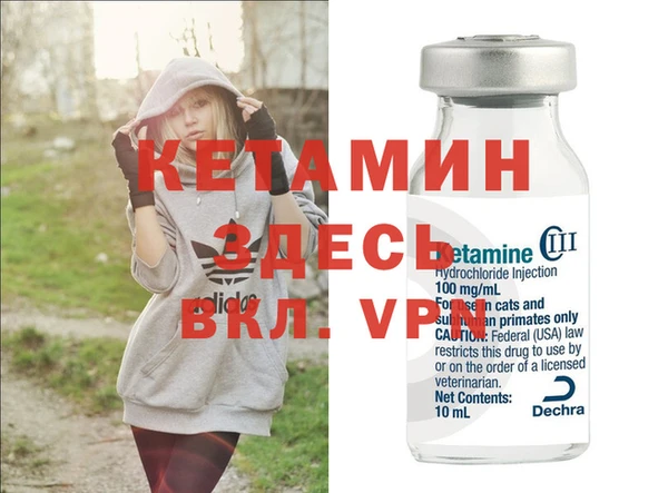 бошки Белокуриха