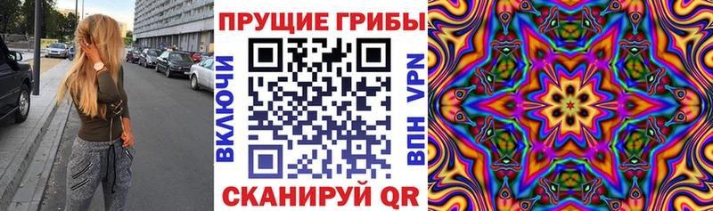 наркотики  Реж  Псилоцибиновые грибы Psilocybe 