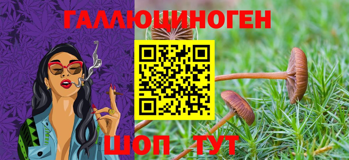 Галлюциногенные грибы Psilocybe Реж
