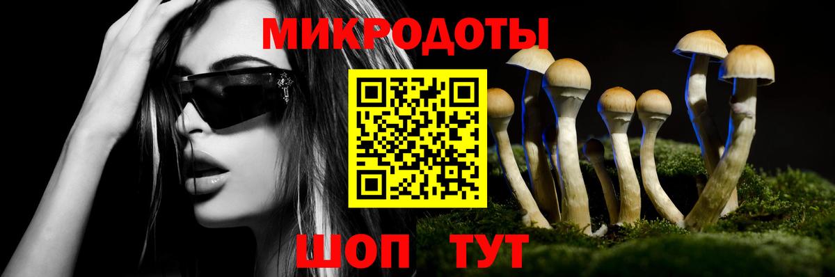 Реж  Галлюциногенные грибы мухоморы  Вход с VPN 